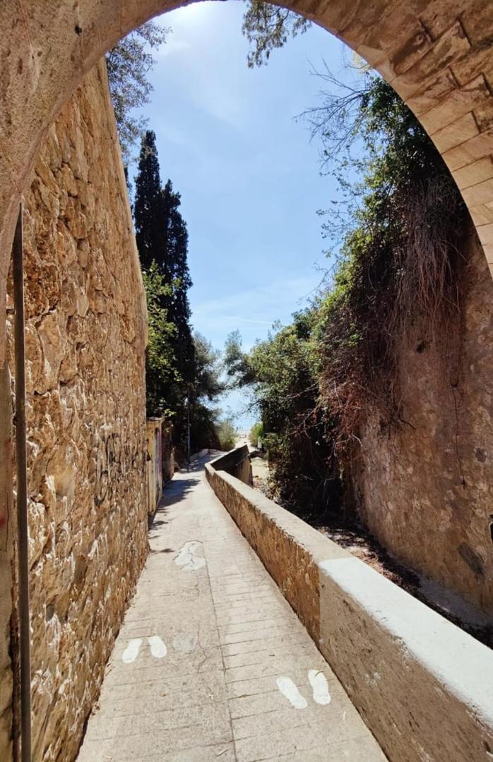 Le Coq Massolin Roquebrune-Cap-Martin Ngoại thất bức ảnh