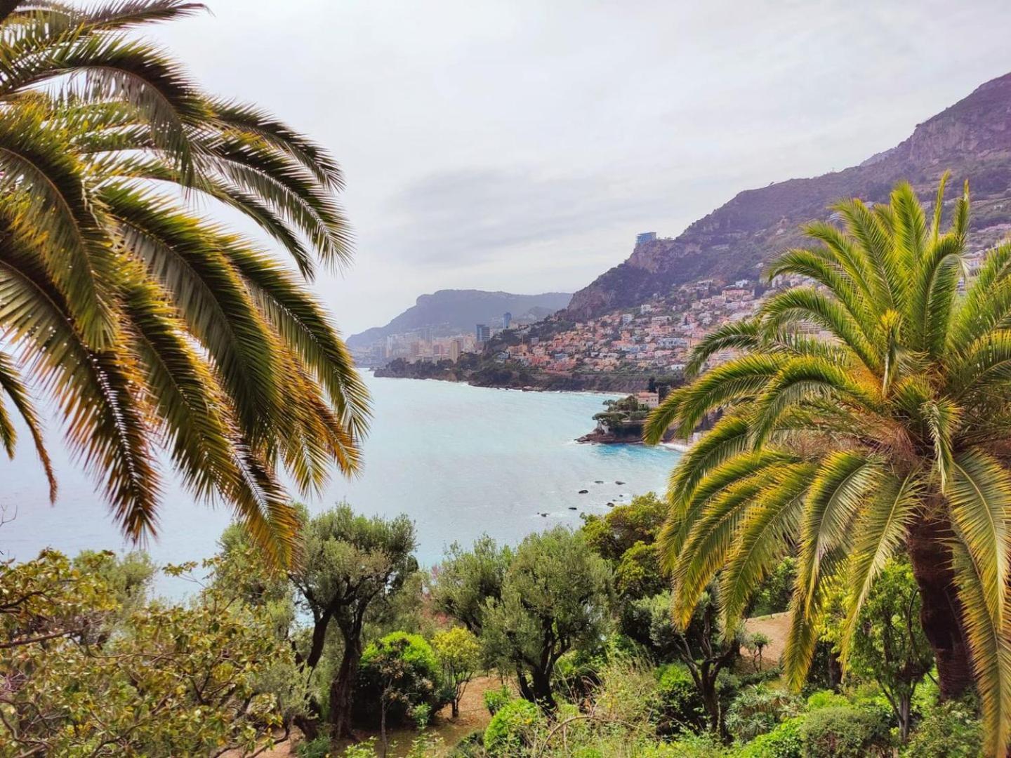 Le Coq Massolin Roquebrune-Cap-Martin Ngoại thất bức ảnh