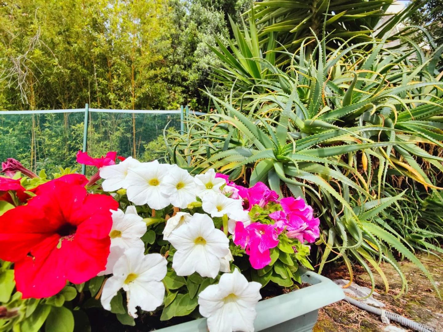 Le Coq Massolin Roquebrune-Cap-Martin Ngoại thất bức ảnh